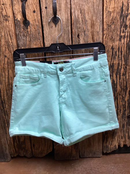 L&B Mint Shorts