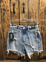 Highly Desirable Distressed Shorts