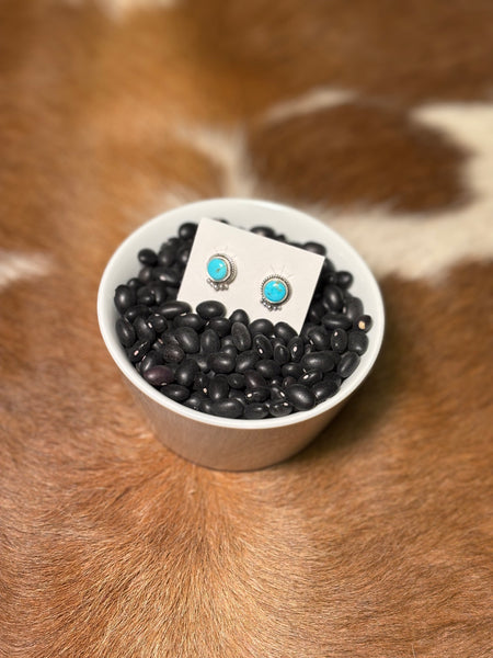Turquoise Stud Earrings with Detailing