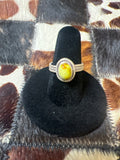 Palomino Ring adjustable