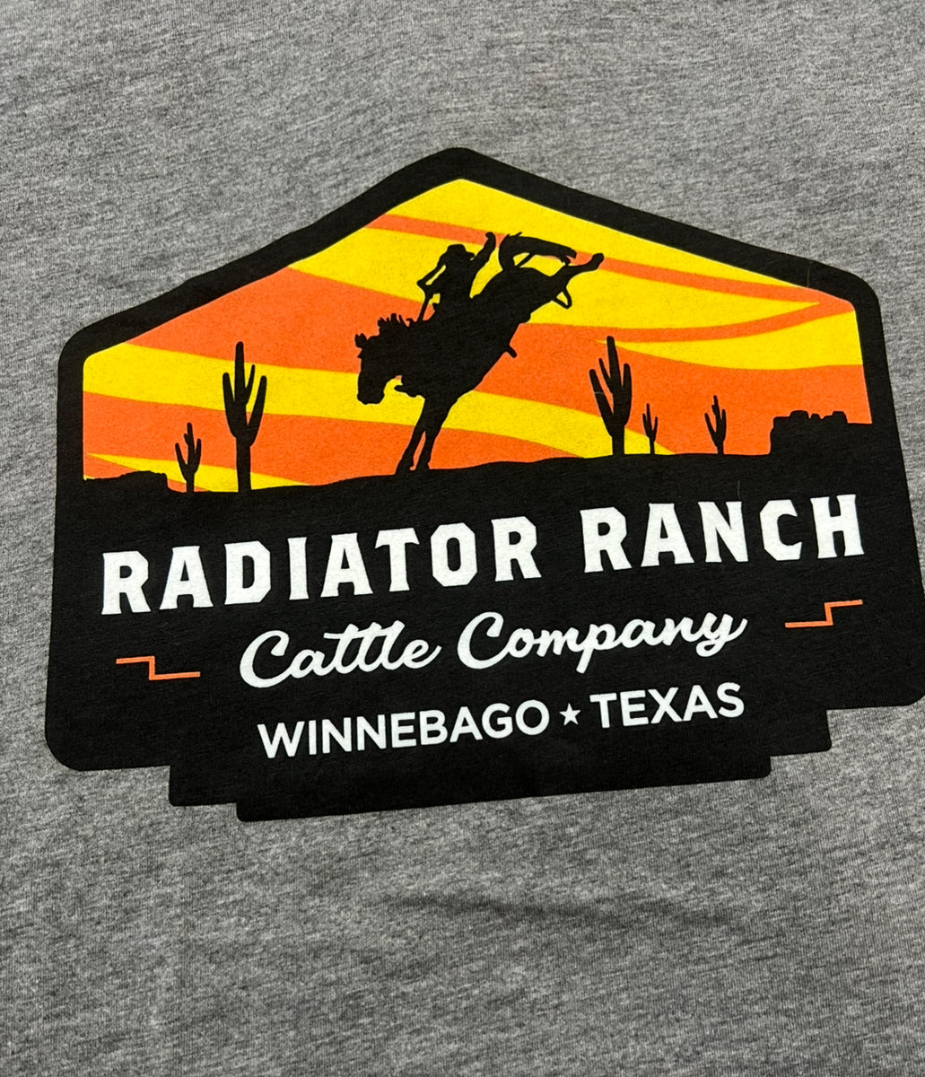 Dale Brisby Radiator Ranch Sunset Bronc – Rustic Cactus Family Western ...