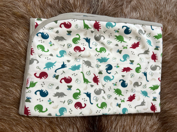 Dino Expedition Swaddle